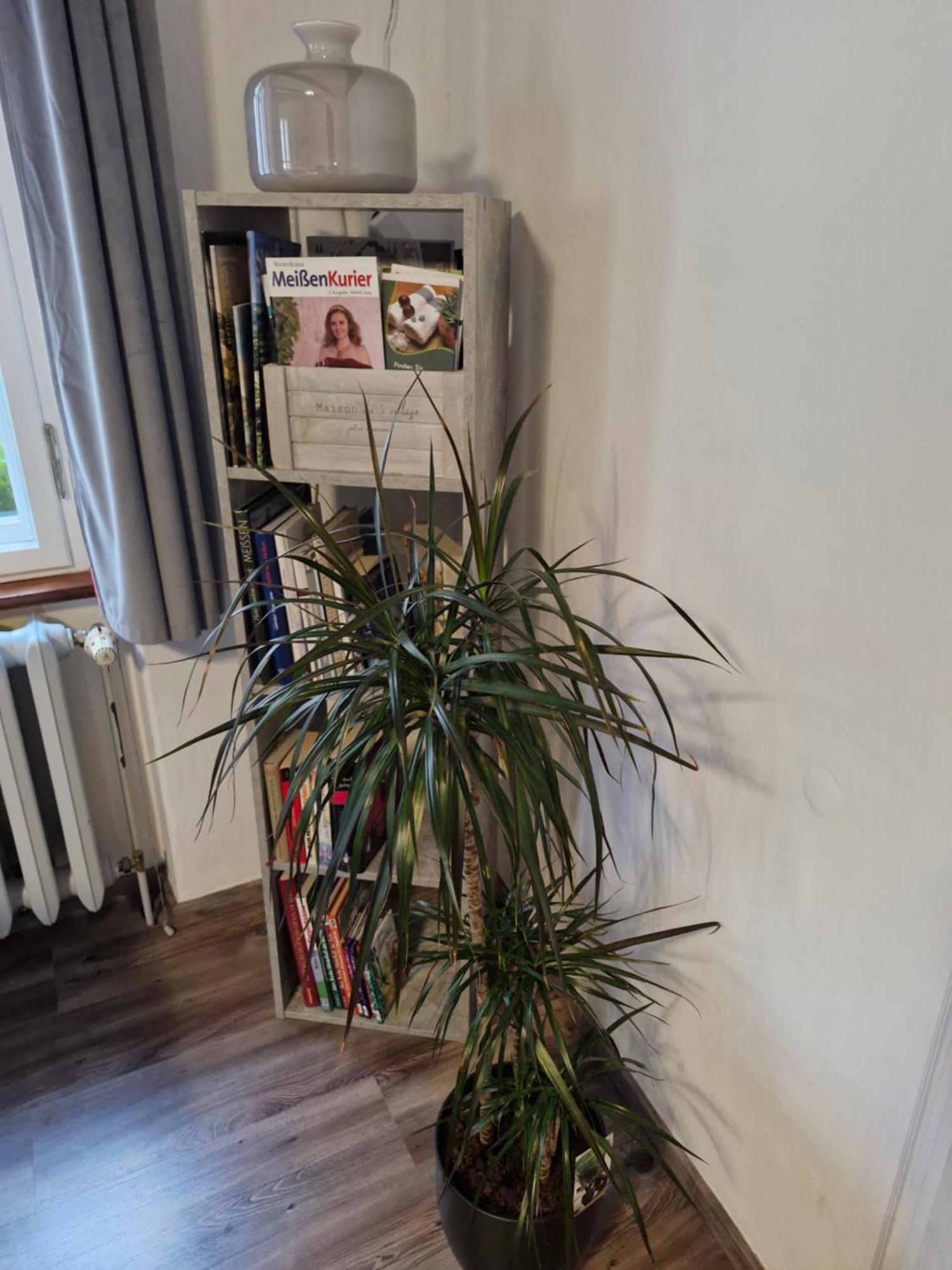 Ferienwohnung Ines Wolf In Der Meissner Innenstadt Meissen Ngoại thất bức ảnh